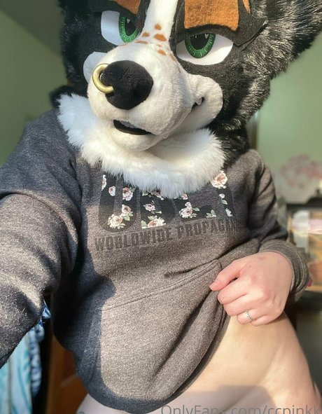 wife blowjob onlyfans sexy naked photo