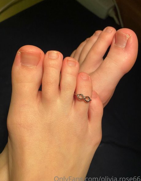 olivia rose66 perfect pornstar archive