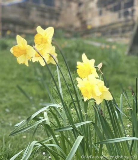 fansly onlyfans sexy nude archive