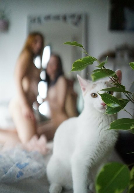 miamoar star erotic img