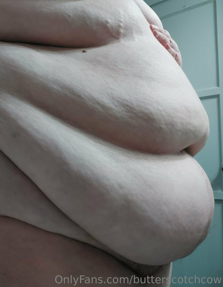 butterscotchcow star adult image