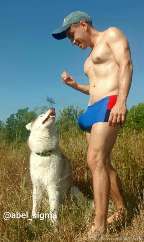 abel sigma model top galleries