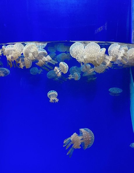 hairy vagina onlyfans pornos pictures