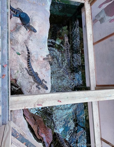 bikini sex onlyfans erotic photos