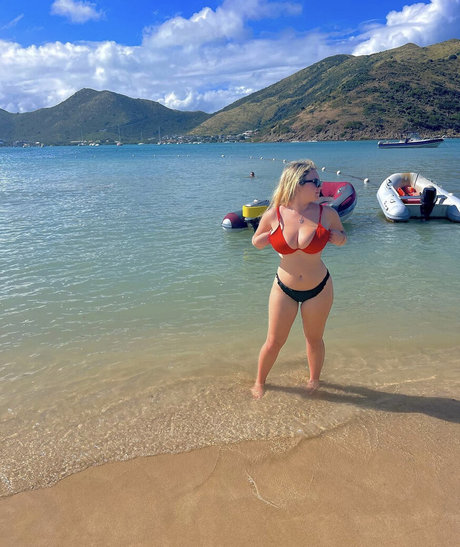 Harley Steins star art photo