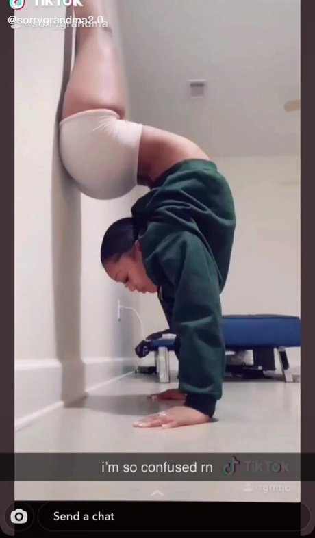 Harley Steins star xxx archive