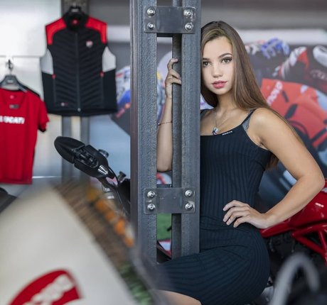 Fiege Eszter perfect star archive