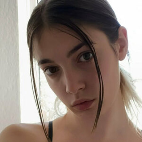 fairy bee nice star image