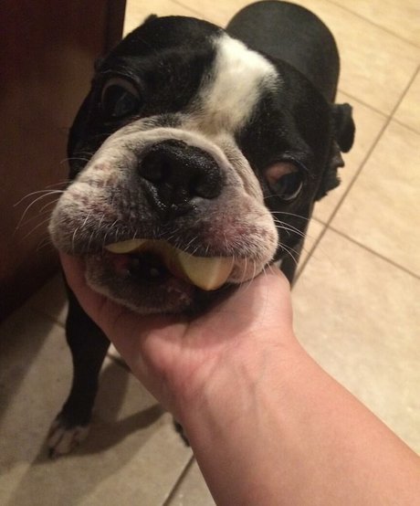 drearoseee nice model image