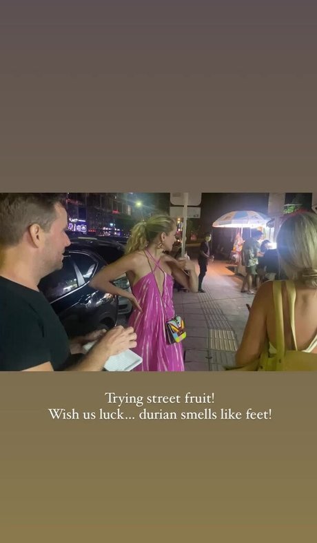 Shantel VanSanten model art images