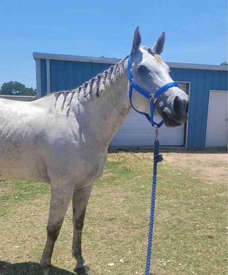 asian tattoo onlyfans perfect archive