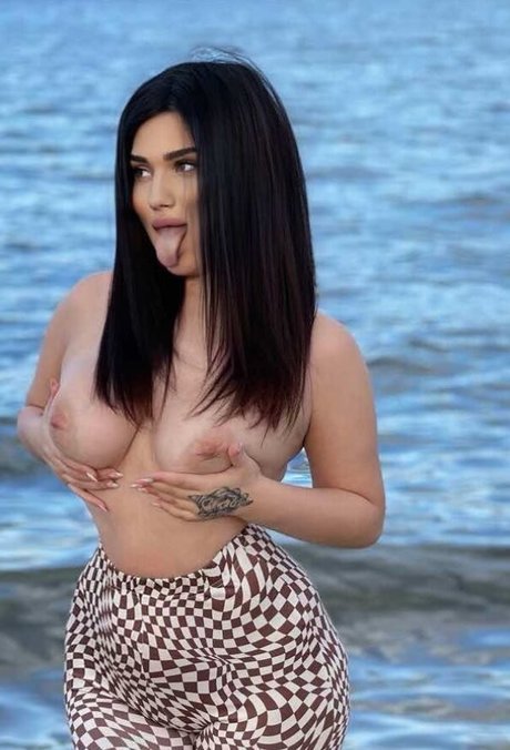 Elsakr_ high quality star gallery