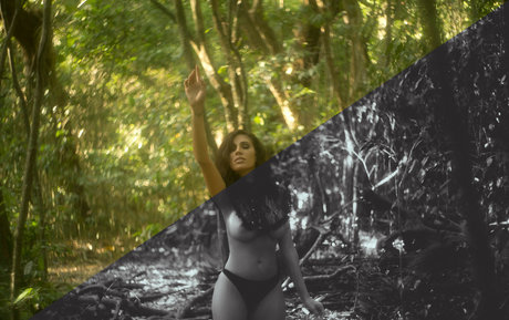 Jazmine r art star images