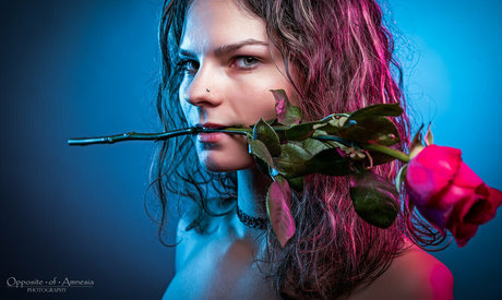 OppositeAmnesia high quality star archive