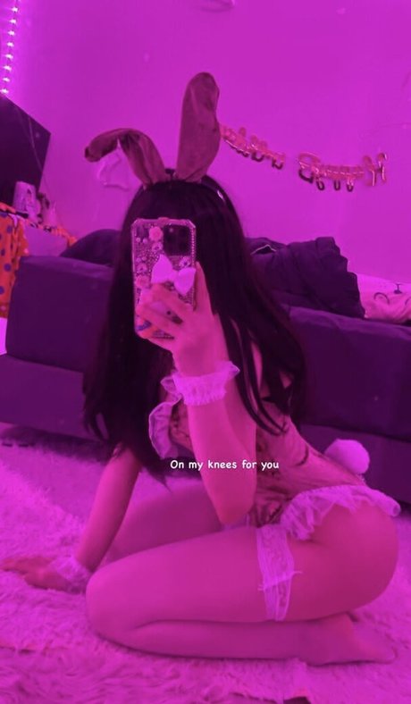 wptlrkapdl model pic