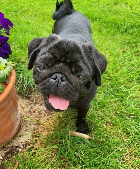 big fat ass onlyfans nice picture