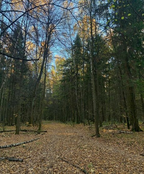 2024 top onlyfans sex image