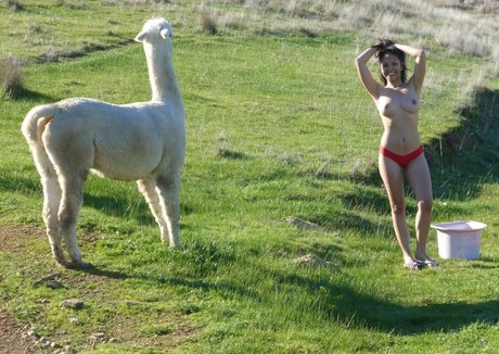 licking pussy onlyfans free nude pics