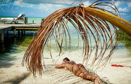 Robbie Welsh Hanna star top archive