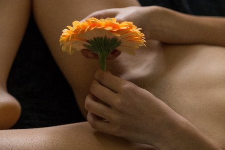 Jordyn Hagan Gaunt star nudes archive