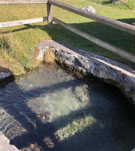 krippymami adult star img