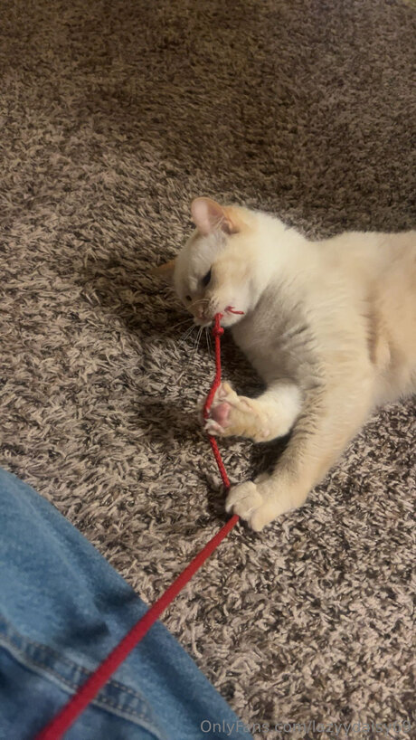 Lazyydaisy69 star xxx pictures