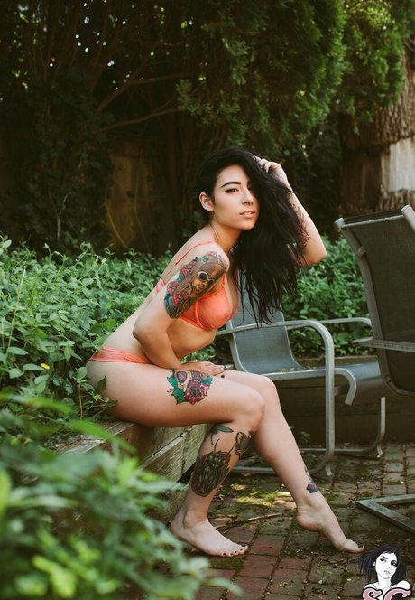 Skyhook Nova high quality star photos