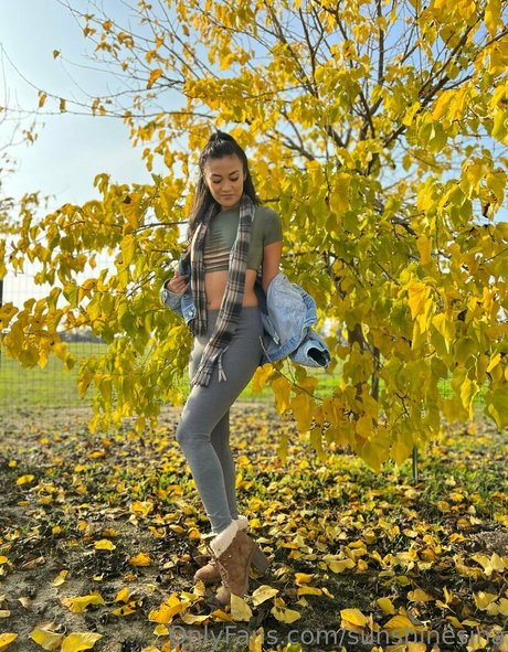 sunshinesinababy star free photos