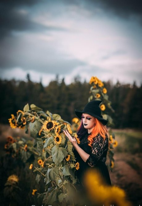 Roxxi Diamond adult star image