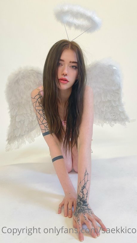 saekkico star free photos