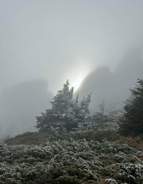 mirror selfie onlyfans art naked photos