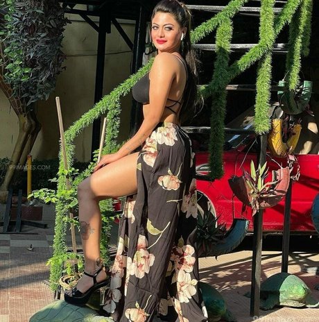 Suhaani Laskar model porn picture