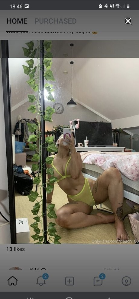 Peach100 hd model img