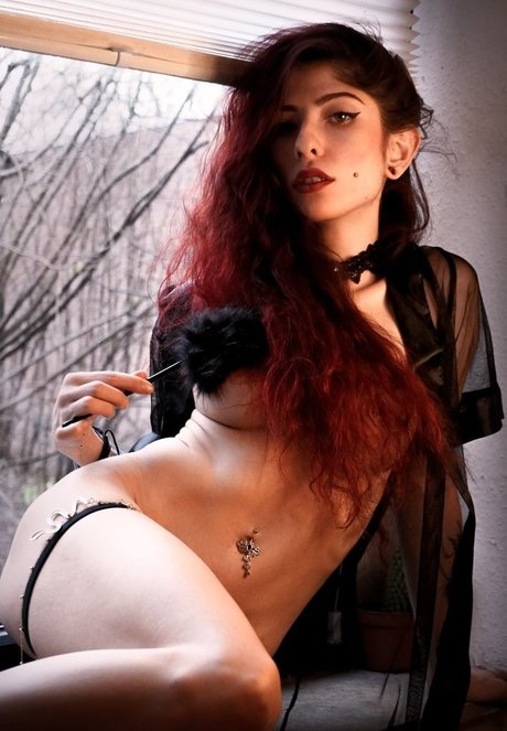 ciiraiya zarela star gallery