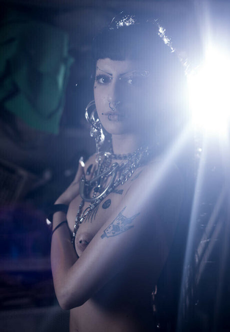 adamnotoscar star hd pictures