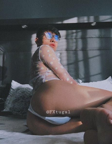 FXtugal nice model images