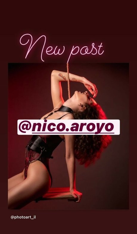 PhotoArt il star exclusive image