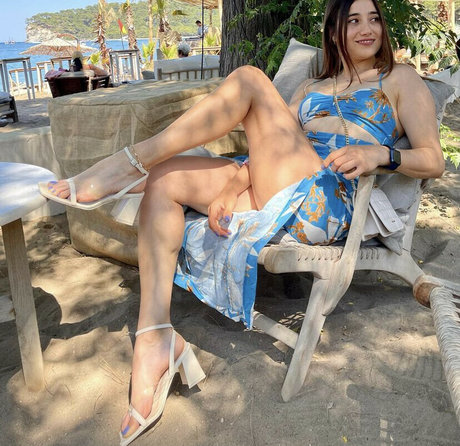 mrv lms free model images