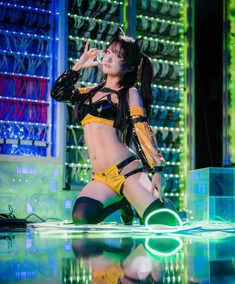 Dalshasha art star galleries