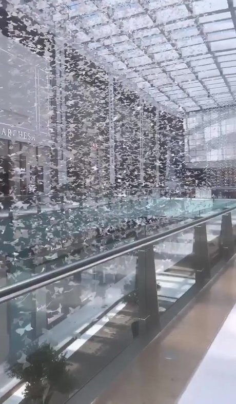 college teacher onlyfans nude pics