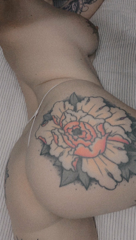 meowoliviameow high quality model archive