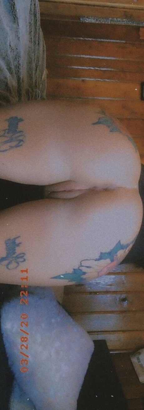 meowoliviameow art pornstar archive