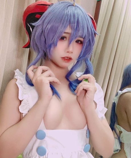 kappancos perfect star gallery