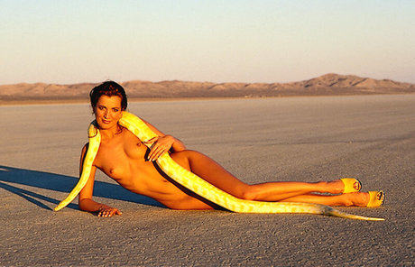 Yvonne Hoffmann naked pornstar archive