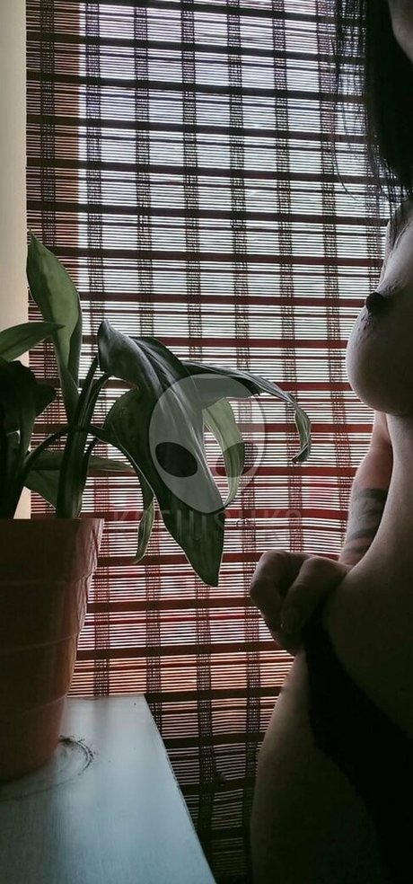 kthegray hot model img