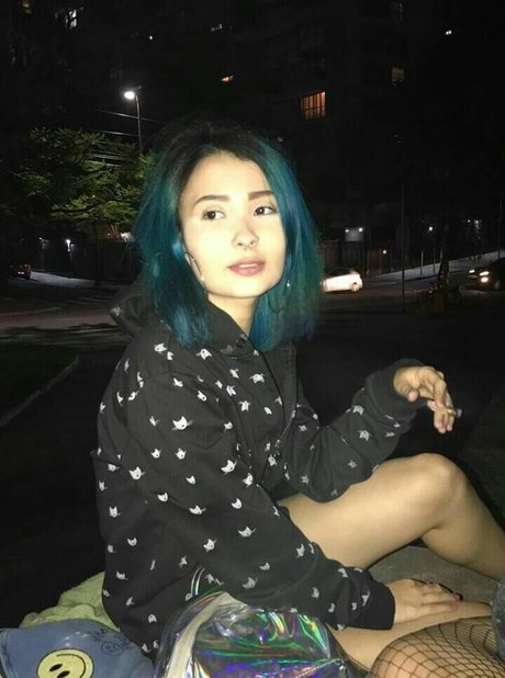 assimcomofogo star nice galleries