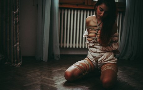 Auromineo pornographic star gallery