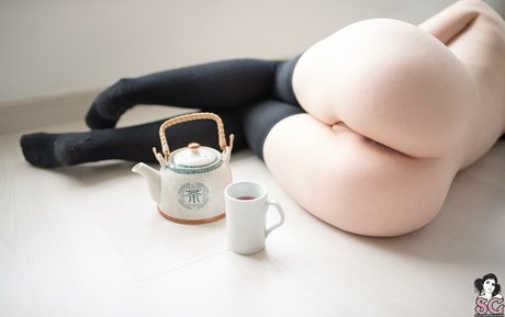 Ariana Steigleder pornographic model images