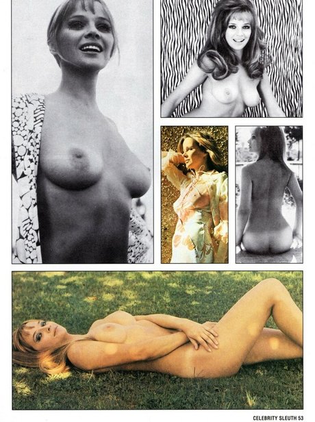 trans free onlyfans hot sex pic