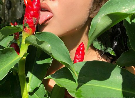 Minymaxxvip model adult photos